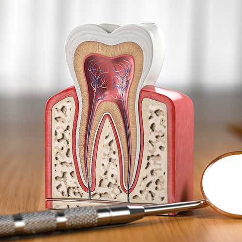 Model of tooth on desk next to dental mirror